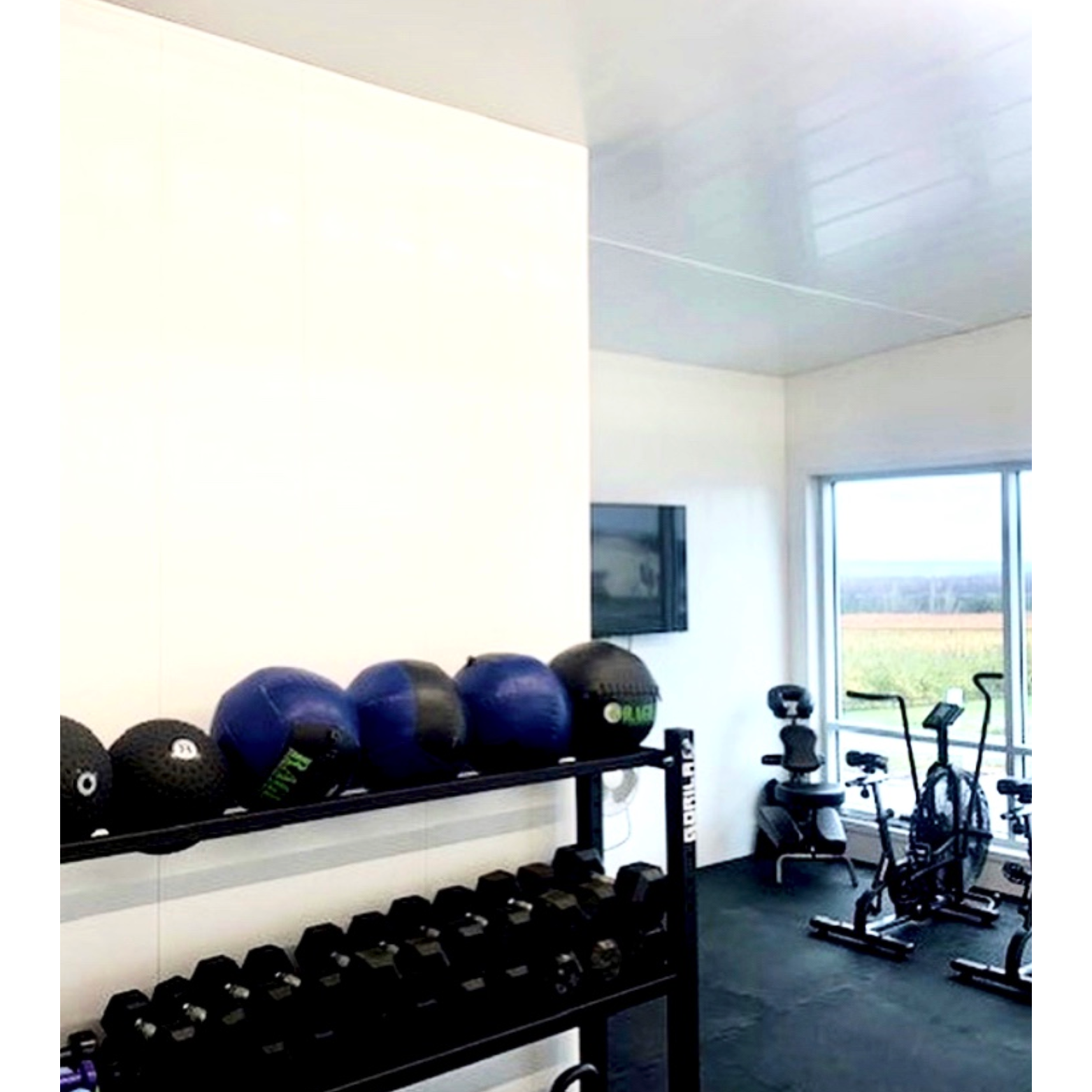 Durasheds Wall Panels Duramax PVC Interlocking PVC Wall and Ceiling Panel - Bright White 16 In. wide each x 96 In. long.